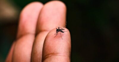 São Luís registra 897 casos de dengue em 2025 e duas mortes
