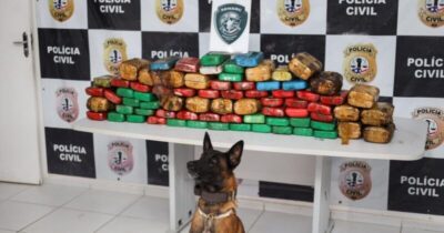 Polícia Civil do Maranhão dobra apreensão de drogas em 2024