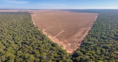 Desmatamento na Amazônia sobe 55% em abril em relação a 2024