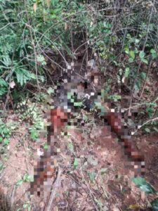 Corpo é encontrado decapitado no povoado dois irmãos