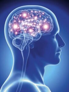 A FISIOLOGIA DA DEPRESSÃO