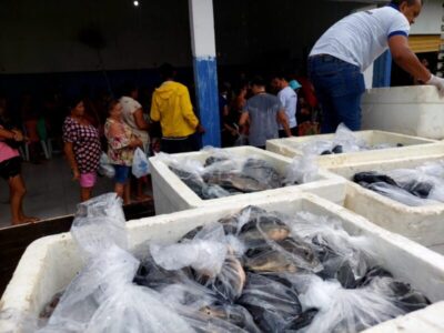 GESTÃO DA PREFEITA PAULA AZEVEDO ENTREGA 8 TONELADAS DE PEIXES EM PAÇO DO LUMIAR
