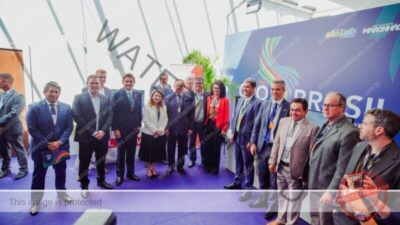 Iracema Vale participa de reunião do Grupo de Trabalho de Economia Digital do G20
