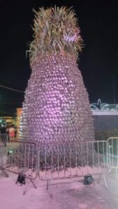 Festival mostra força do abacaxi na produção da agricultura familiar