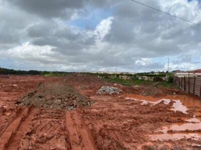 Primeiro a Raìzen, agora é a vez da INTERALLI devastar manguezal