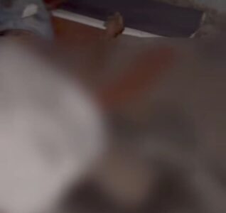 Homem morre após suposta queda em prédio abandonado em Imperatriz