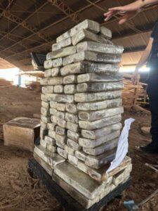 Polícia Civil incinera cerca de 700 kg de entorpecentes e gera prejuízo de mais de R$ 5 milhões ao crime organizado, em Imperatriz
