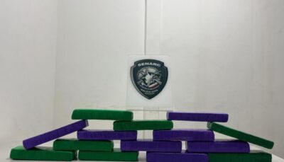 Tráfico de drogas: Polícia Civil prende duas pessoas em bairros de São Luís