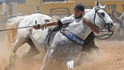 Morre o cavalo do povo, Rei Big Doc