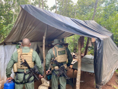 Segurança Pública destrói mais de 12 mil pés de maconha em Barra do Corda e Jenipapo dos Vieiras