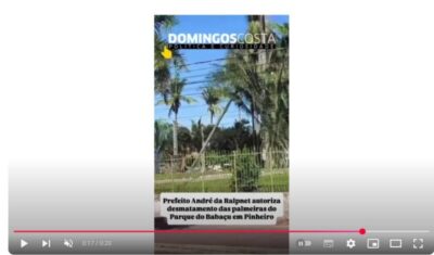 VÍDEO: Prefeito André da Ralpnet autoriza desmatamento das palmeiras do Parque do Babaçu em Pinheiro