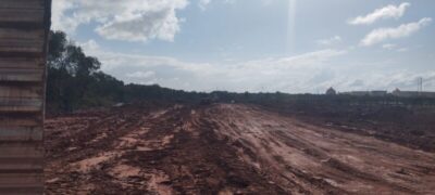 Sem licença, Grupo INTERALLI devasta Manguezal em São Luís