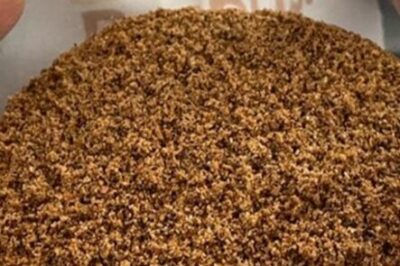 Farinha de babaçu é usada para produção de hambúrguer