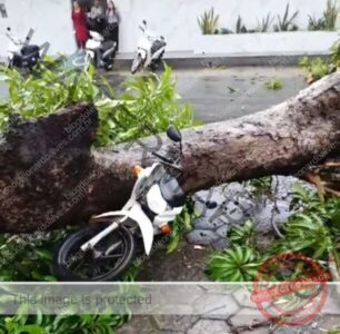 Árvore cai em praça pública em frente ao Girassol Center e esmaga motocicleta