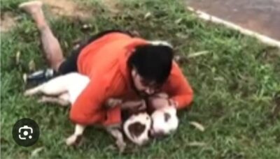 Assista: Lutador é atacado por pitbulls, imobiliza os animais e faz desabafo