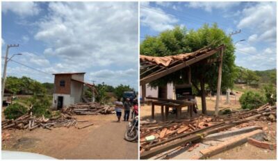 Caminhão carregado de eucalipto invade residência em Vargem Grande