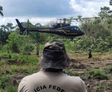 Polícia Federal realiza operação de combate ao plantio ilegal de maconha