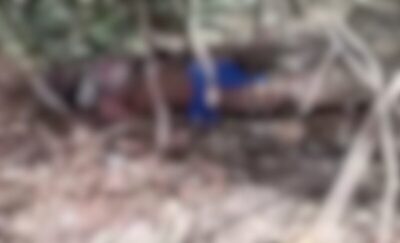 Homem é preso após matar ex-cunhado em Pirapemas