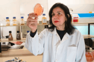 Mariangela Hungria é a primeira brasileira a ganhar o ‘Nobel da agricultura’