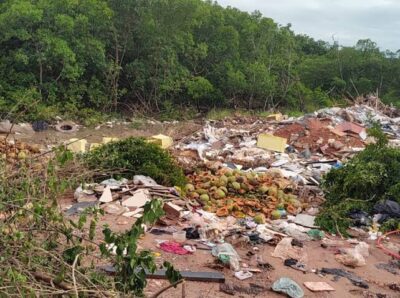 Brasil registra mais de 41 mil crimes ambientais, e Maranhão lidera crescimento proporcional