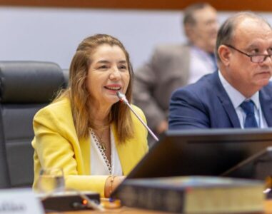 Transparência na Assembleia Legislativa avança na gestão Iracema Vale