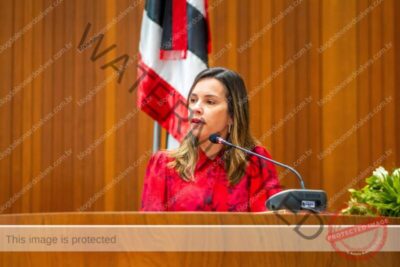 Procuradora da Mulher pede celeridade na apuração de mensagens ofensivas postadas contra a deputada Mical Damasceno