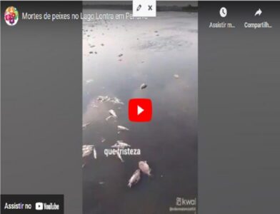 DENÚNCIA GRAVE!!! Empresário estaria matando rio em Penalva