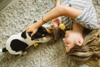 Vida em apartamento: desafios e soluções para o bem-estar dos animais de estimação