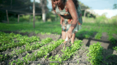 Assista o 2° episódio da série “Uma Gestão que Vale”I Deputada racema Vale relembra investimentos realizados em benefício da agricultura familiar de Urbano Santos