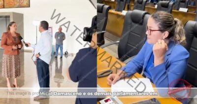Deputada Mical Damasceno faz retrospectiva de mais um ano de mandato na Assembleia Legislativa