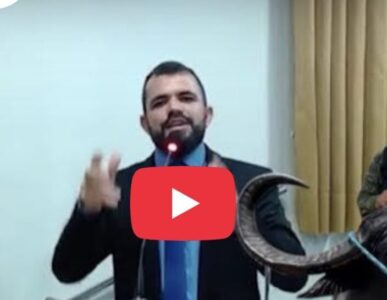 Vereador sugere uso de búfalos como transporte e gera revolta em Pinheiro