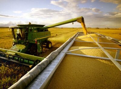 Soja ocupa mais de 65% da área plantada no Maranhão e participa com 60% da safra agrícola