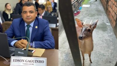 Vereador de São Luís do escândalo dos veados é vítima de assalto em sua residência e é amarrado por criminosos