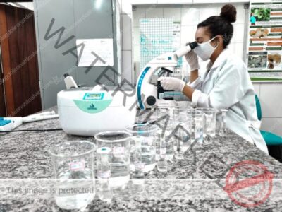 Pesquisadores da UFMA descobrem propriedades ativas em oléos essenciais para o combate à dengue