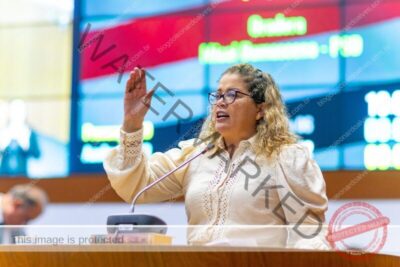 Assembleia Legislativa emite nota de esclarecimento sobre requerimento de autoria da deputada Mical Damasceno