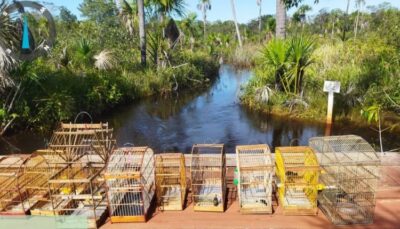 OPERAÇÃO PROTETOR DOS BIOMAS: NOVE PESSOAS SÃO PRESAS POR CRIMES AMBIENTAIS NO PARQUE ESTADUAL DO MIRADOR