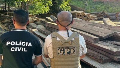 OPERAÇÃO PROTETORES DOS BIOMAS: POLÍCIA CIVIL APREENDE, EM BENEDITO LEITE, MADEIRA EXTRAÍDA ILEGALMENTE DO PARQUE ESTADUAL DO MIRADOR
