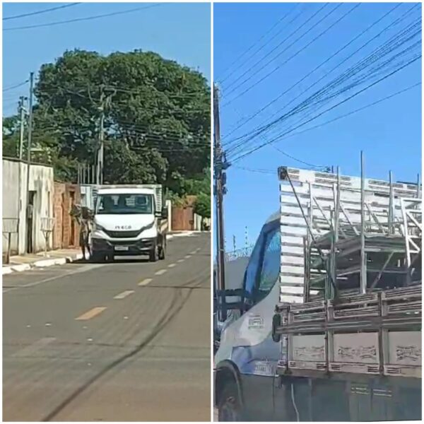 Foto: Reprodução