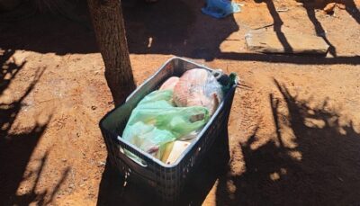 OPERAÇÃO PROTETORES DOS BIOMAS: ANIMAIS SILVESTRES ABATIDOS SÃO APREENDIDOS EM SÃO RAIMUNDO DAS MANGABEIRAS