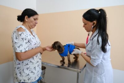 Hospital Veterinário Municipal realiza mais de 130 mil procedimentos em seis meses de funcionamento