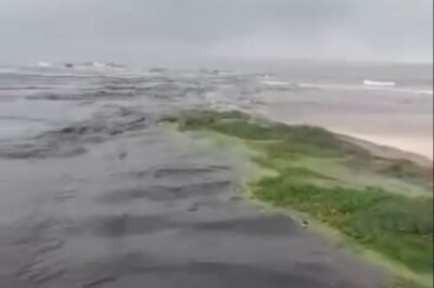 Despejo de esgoto é registrado em praia da orla marítima de São Luís