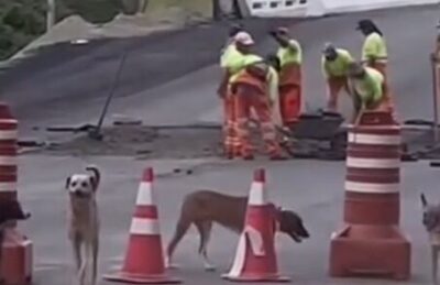 DNIT determina recapeamento de obra que durou menos de 24h na BR-222