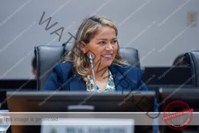 Dia da Família é celebrado em Sessão Solene na Assembleia Legislativa proposto pela deputada Mical Damasceno
