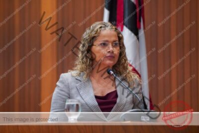 Mical Damasceno repudia ataques sofridos em suposta conversa atribuída ao vice-governador e afirma que tomará as devidas providências legais