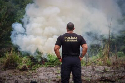 No Maranhão, PF realiza operação de combate ao plantio ilegal de maconha