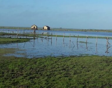 Justiça manda prefeitura, fazendeiros e empresários derrubarem cercas dos campos de Olinda Nova do Maranhão