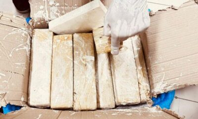 PF apreende quase 40 kg de maconha no aeroporto de São Luís