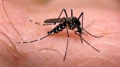 Com apoio do governo, Congresso restabelece pensão a vítimas do Zika