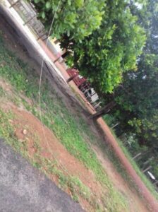 Alô Equatorial Energia!! No Povoado Buriti em Fernando Falcão, fio de energia quebra e se encontra no meio da pista há mais de 24h