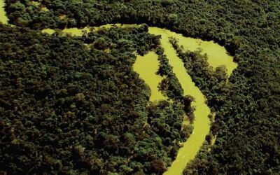 Maranhão ganha reforço em recursos para a conservação da Amazônia
